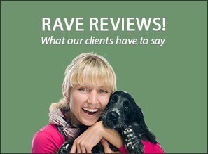Rave Reviews! What our clients have to say
