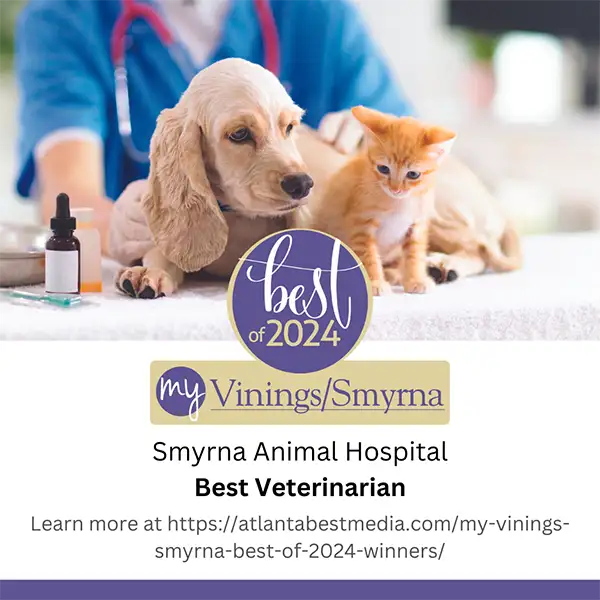 Best of 2024 My Vinings/Smyrna - Best Veterinarian