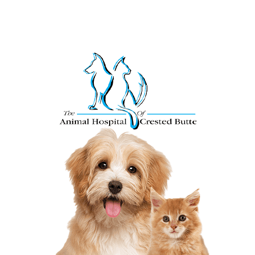Smyrna Animal Hospital logo